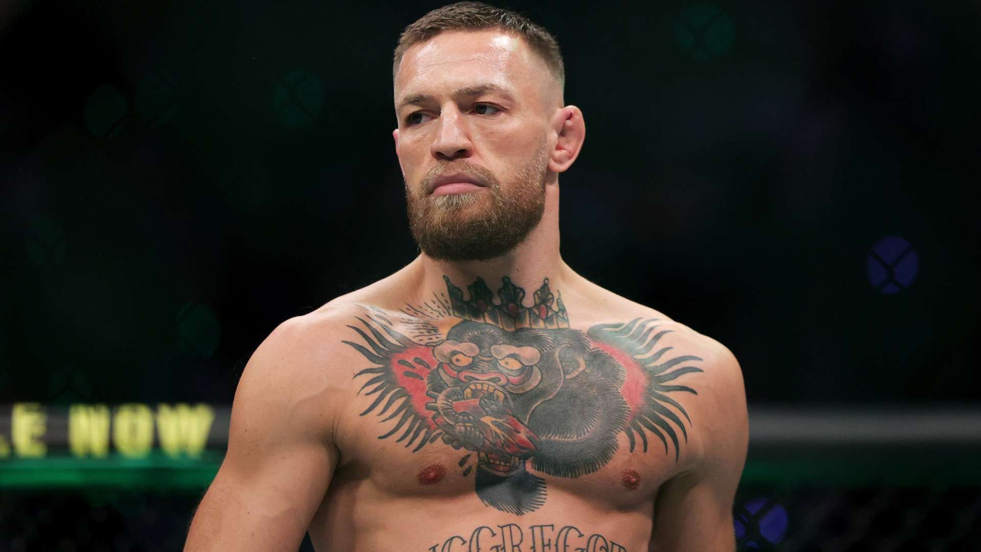 仅让球迷们 仅让球迷们